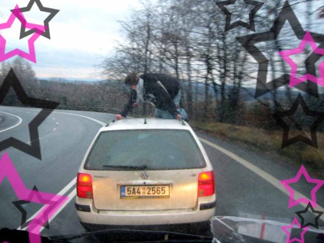 Obrázek k článku - mave_na_strese.jpg